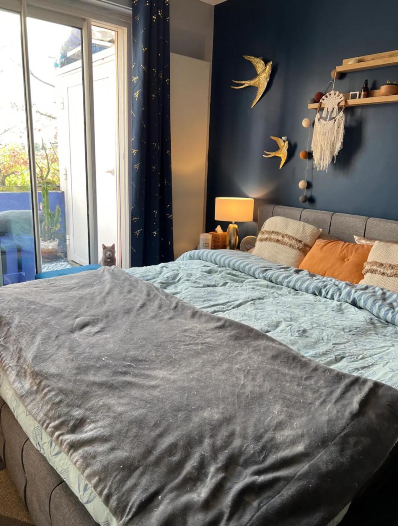 Appartement Rooftop Chaleureux Hyper-Centre à Toulouse Extérieur photo